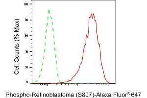 Flow cytometric analysis of Phospho-Retinoblastoma (S807) expression in HAP-1 cells using Phospho-Retinoblastoma (S807) antibody (ABIN7800188), 1:2,000). (Recombinant Retinoblastoma Protein (Rb) anticorps  (pSer807))