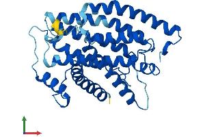 AlphaFold protein structure predicition of Human Recombinant MT-ND1 Protein, UniprotID P03886