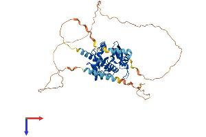 AlphaFold protein structure predicition of Human Recombinant RRP8 Protein, UniprotID O43159