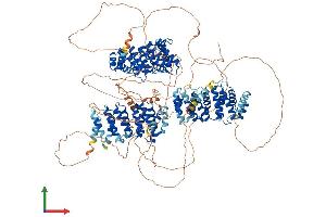 AlphaFold protein structure predicition of Human Recombinant CLASP2 Protein, UniprotID O75122