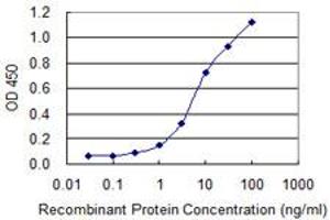 Detection limit for recombinant GST tagged EBF1 is 0. (EBF1 anticorps  (AA 1-591))