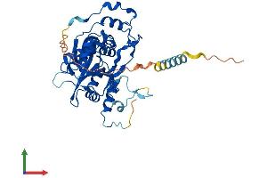 AlphaFold protein structure predicition of Human Recombinant B3GNT6 Protein, UniprotID Q6ZMB0