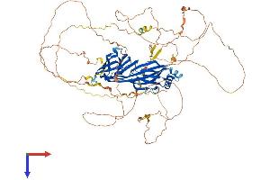 AlphaFold protein structure predicition of Human Recombinant SGIP1 Protein, UniprotID Q9BQI5
