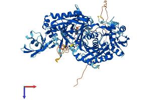 AlphaFold protein structure predicition of Mouse Recombinant Piwil4 Protein, UniprotID Q8CGT6