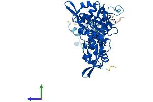 AlphaFold protein structure predicition of Mouse Recombinant DSCC1 Protein, UniprotID Q14AI0