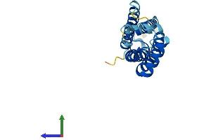 AlphaFold protein structure predicition of Human Recombinant TSPAN13 Protein, UniprotID O95857