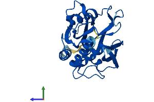 AlphaFold protein structure predicition of Human Recombinant NUDT7 Protein, UniprotID P0C024