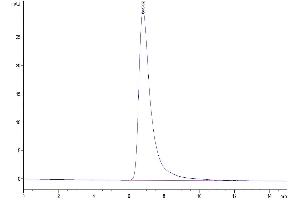 The purity of Biotinylated Human TGF-beta RII is greater than 95 % as determined by SEC-HPLC.
