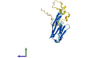 AlphaFold protein structure predicition of Human Recombinant CRYAB Protein, UniprotID P02511