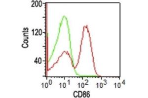 Flow Cytometric Analysis of human PBMCs using CD86 Mouse Monoclonal Antibody (BU63); Goat anti-Mouse IgG-CF488 (red); Isotype Control (green). (CD86 anticorps)