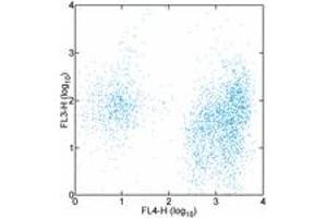 Image no. 1 for anti-CD38 antibody (Cy7,PE) (ABIN477084)