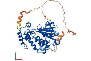 AlphaFold protein structure predicition of Mouse Recombinant Clvs1 Protein, UniprotID Q9D4C9