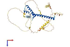 AlphaFold protein structure predicition of Mouse Recombinant Neurod1 Protein, UniprotID Q60867
