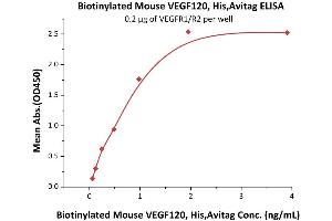 Immobilized VEGFR1/R2 at 2 μg/mL (100 μL/well) can bind Biotinylated Mouse VEGF120, His,Avitag (ABIN5674612,ABIN6809988) with a linear range of 0.