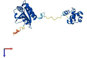 AlphaFold protein structure predicition of Human Recombinant FAAP24 Protein, UniprotID Q9BTP7