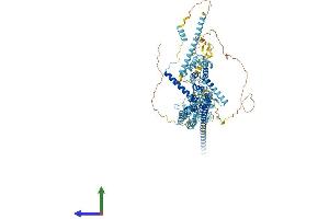 AlphaFold protein structure predicition of Human Recombinant NOP14 Protein, UniprotID P78316
