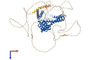AlphaFold protein structure predicition of Mouse Recombinant Daxx Protein, UniprotID O35613