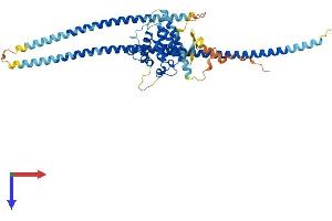 AlphaFold protein structure predicition of Mouse Recombinant Rufy3 Protein, UniprotID Q9D394