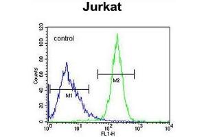 CWC22 Antibody (N-term) flow cytometric analysis of Jurkat cells (right histogram) compared to a negative control cell (left histogram). (CWC22 anticorps  (N-Term))