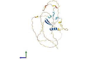 AlphaFold protein structure predicition of Human Recombinant VGLL3 Protein, UniprotID A8MV65
