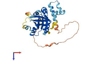 AlphaFold protein structure predicition of Mouse Recombinant Rab40b Protein, UniprotID Q8VHP8
