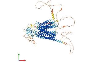 AlphaFold protein structure predicition of Human Recombinant SLCO5A1 Protein, UniprotID Q9H2Y9