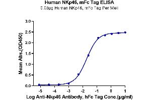 Immobilized Human NKp46, mFc Tag at 0.