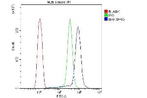 Flow Cytometry analysis of THP-1 cells using anti-BAK antibody (ABIN3042342).