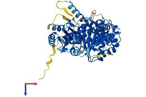 AlphaFold protein structure predicition of Mouse Recombinant Tube1 Protein, UniprotID Q9D6T1