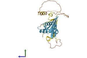 AlphaFold protein structure predicition of Mouse Recombinant Dnajb8 Protein, UniprotID Q9QYI7