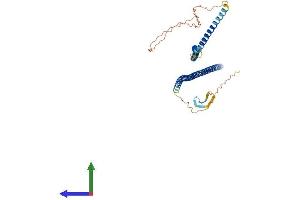 AlphaFold protein structure predicition of Human Recombinant KRT28 Protein, UniprotID Q7Z3Y7