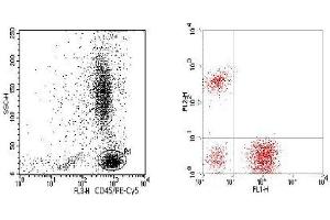 Flow Cytometry (FACS) image for anti-CD3/CD19/CD45 antibody (FITC,PE,PE-Cy5) (ABIN2145031) (CD3/CD19/CD45 anticorps (FITC,PE,PE-Cy5))