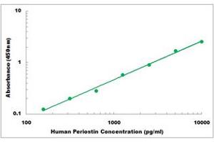 Representative Standard Curve (Periostin Kit ELISA)