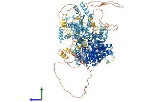 AlphaFold protein structure predicition of Mouse Recombinant Ciita Protein, UniprotID P79621