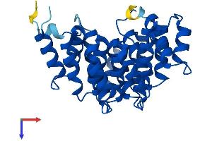 AlphaFold protein structure predicition of Mouse Recombinant Dohh Protein, UniprotID Q99LN9