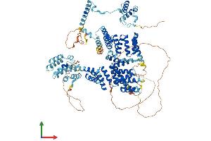 AlphaFold protein structure predicition of Human Recombinant SPAG1 Protein, UniprotID Q07617