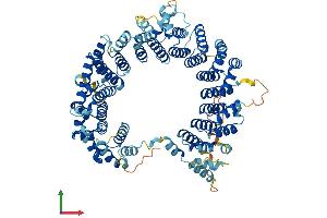 AlphaFold protein structure predicition of Mouse Recombinant Brat1 Protein, UniprotID Q8C3R1
