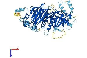 AlphaFold protein structure predicition of Human Recombinant DET1 Protein, UniprotID Q7L5Y6