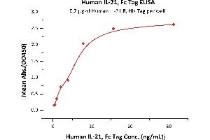 Immobilized Human IL-21 R, His Tag (ABIN2181372,ABIN2181371) at 2 μg/mL (100 μL/well) can bind Human IL-21, Fc Tag (ABIN6731256,ABIN6809951) with a linear range of 0. (IL-21 Protein (AA 30-162) (Fc Tag))