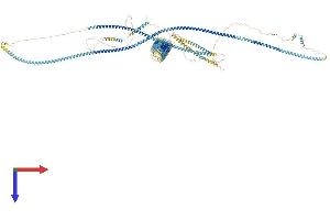 AlphaFold protein structure predicition of Human Recombinant RRBP1 Protein, UniprotID Q9P2E9
