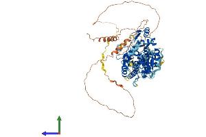 AlphaFold protein structure predicition of Mouse Recombinant Nsun7 Protein, UniprotID Q14AW5