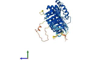 AlphaFold protein structure predicition of Mouse Recombinant Tbccd1 Protein, UniprotID Q640P7