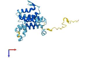 AlphaFold protein structure predicition of Mouse Recombinant Derl2 Protein, UniprotID Q8BNI4