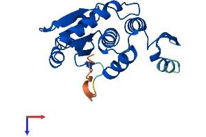 AlphaFold protein structure predicition of Mouse Recombinant Dusp21 Protein, UniprotID Q9D9D8