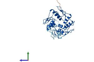 AlphaFold protein structure predicition of Human Recombinant ZNF146 Protein, UniprotID Q15072
