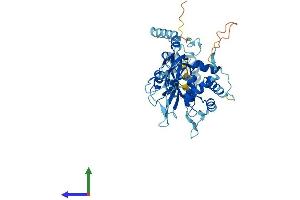 AlphaFold protein structure predicition of Mouse Recombinant Usp14 Protein, UniprotID Q9JMA1