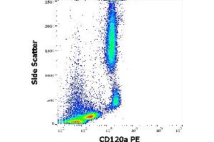 Flow cytometry surface staining pattern of human peripheral whole blood stained using anti-human CD120a (H398) PE antibody (10 μL reagent / 100 μL of peripheral whole blood). (TNFRSF1A anticorps  (PE))
