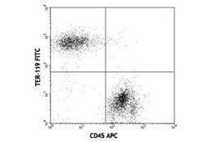 Flow Cytometry (FACS) image for anti-Erythroid Cells antibody (FITC) (ABIN2667364) (Erythroid Cells anticorps  (FITC))