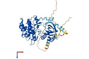 AlphaFold protein structure predicition of Human Recombinant STK32B Protein, UniprotID Q9NY57