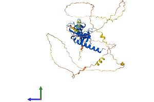 AlphaFold protein structure predicition of Mouse Recombinant Smap1 Protein, UniprotID Q91VZ6